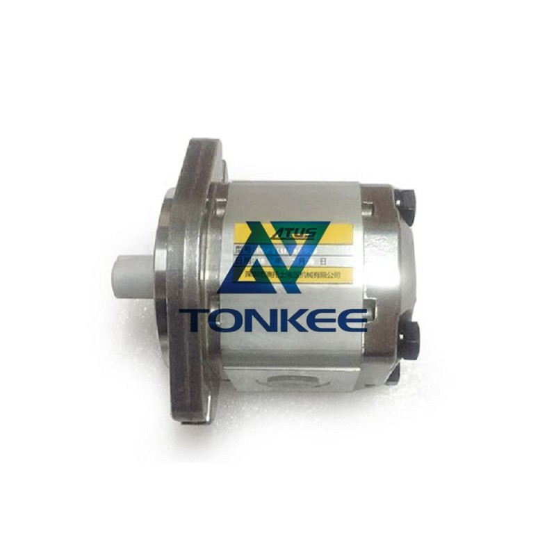 OEM Customized Hydraulic Pump Manufacturer